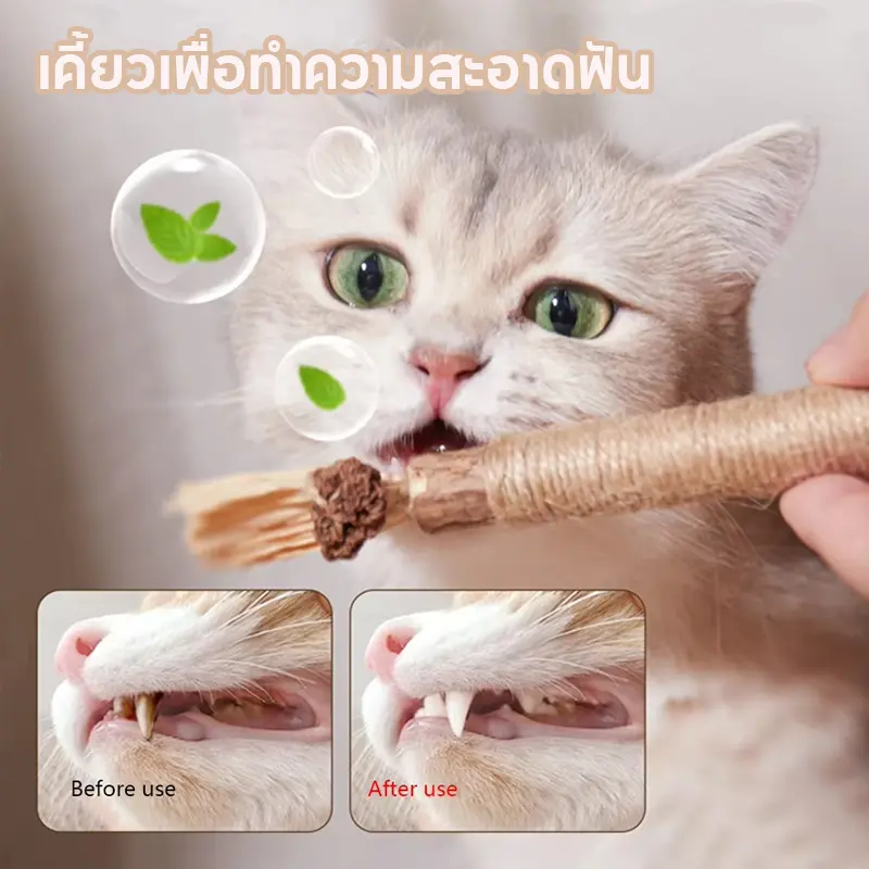 ไม้มาทาทาบิ ขัดฟันแมว 38/22cm ลดคราบหินปูน ขัดฟันแมว…
