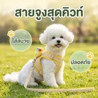 ชุดสายจูงสุนัข สายรัดหน้าอก ลายการ์ตูนน่ารัก 3 สี ราคาถูกมาก ระบายอากาศดี ไม่อับชื้น ของแท้ส่งไว ชุดสายจูงสุนัข สายรัดหน้าอก ลายการ์ตูนน่ารัก 3 สี ราคาถูกมาก ระบายอากาศดี ไม่อับชื้น ของแท้ส่งไว
