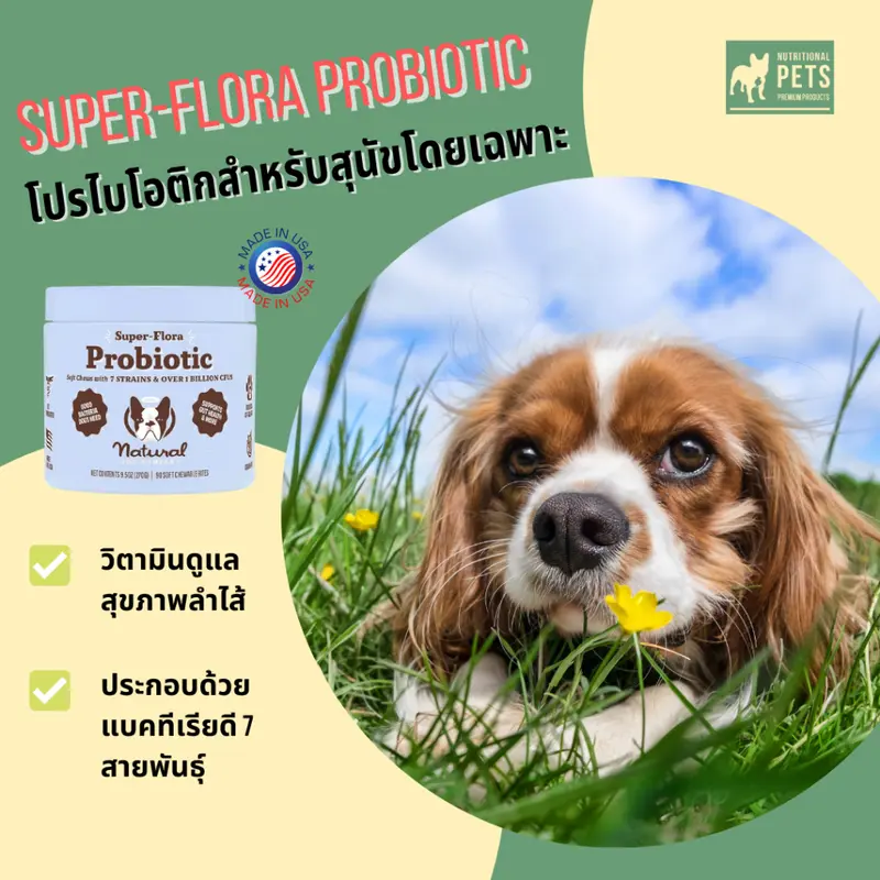 Dog Probiotics Supplement วิตามินโปรไบโอติกสุนัข… - ภาพที่ 4
