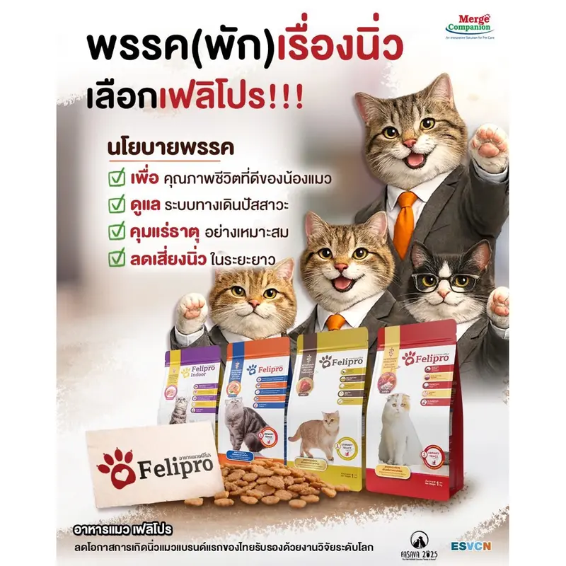 Felipro อาหารแมว 1 กก. ป้องกันนิ่ว 1 กก - ภาพที่ 3