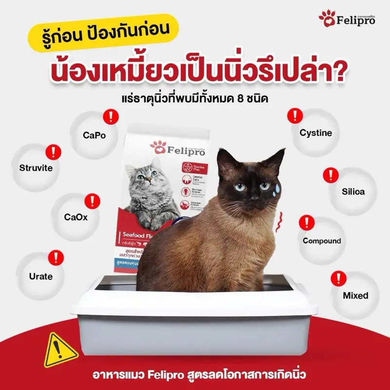 Felipro อาหารแมว 1 กก. ป้องกันนิ่ว 1 กก - ภาพที่ 5