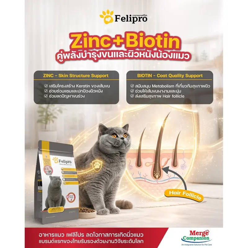 Felipro อาหารแมว 1 กก. ป้องกันนิ่ว 1 กก - ภาพที่ 6