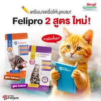 Felipro เฟลิโปร อาหารเม็ดแมว สูตรพิเศษที่ออกแบบมาเพื่อ… - ภาพที่ 6