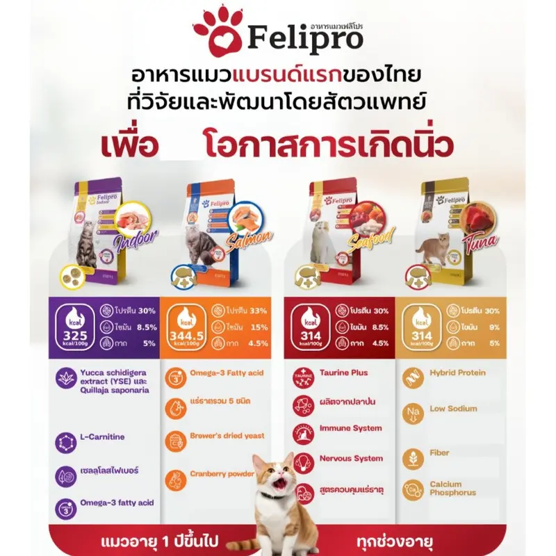Felipro เฟลิโปร อาหารเม็ดแมว สูตรพิเศษที่ออกแบบมาเพื่อ…