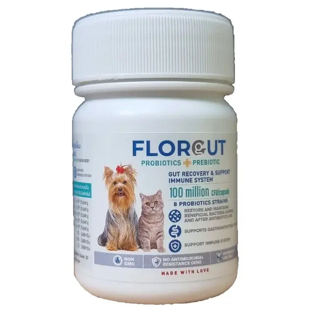 Florgut บรรจุ 30 แคปซูล อาหารเสริมพรีไบโอติกและโพรไบโอ… - ภาพที่ 6