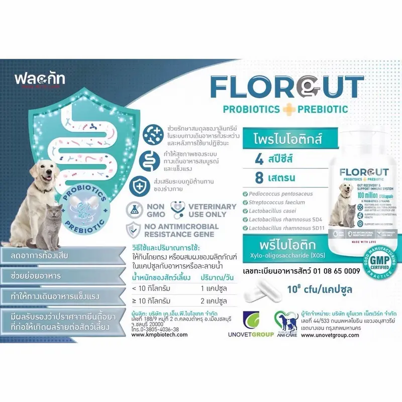 Florgut บรรจุ 30 แคปซูล อาหารเสริมพรีไบโอติกและโพรไบโอ…