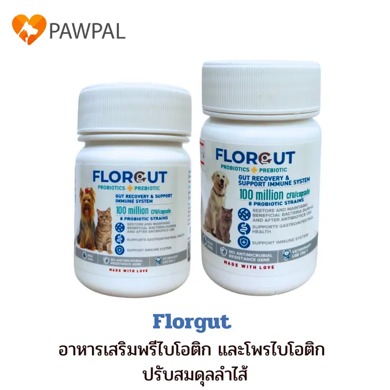Florgut 30 แคปซูล🔥Exp.2028 อาหารเสริมโปรตีน…