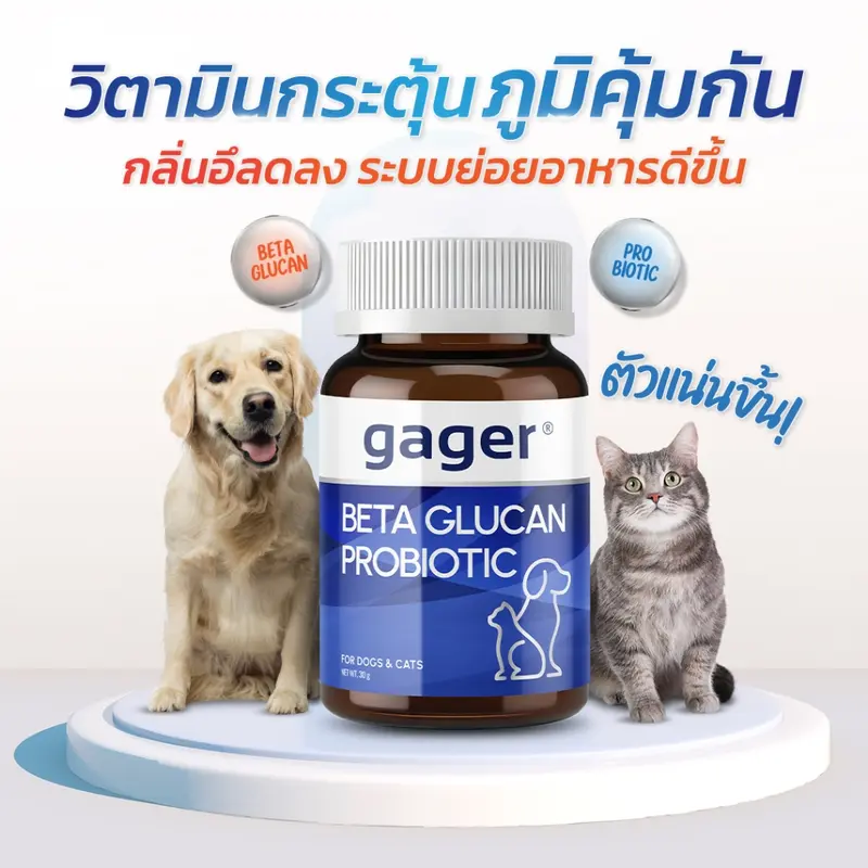 Gager วิตามินหมา วิตามินแมว… - ภาพที่ 4