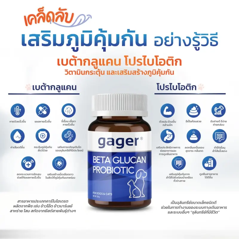 Gager (กาเจอร์) วิตามินหมา วิตามินแมว… Gager (กาเจอร์) วิตามินหมา วิตามินแมว…