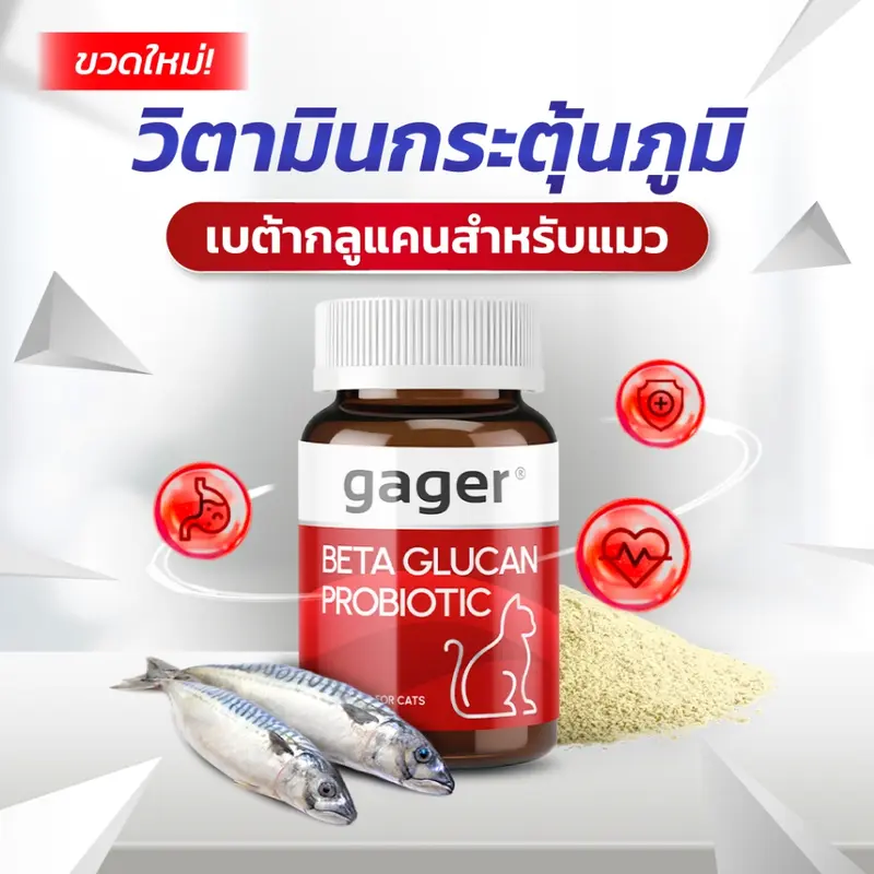 Gager วิตามินแมว ผงเบต้าแมว… - ภาพที่ 3