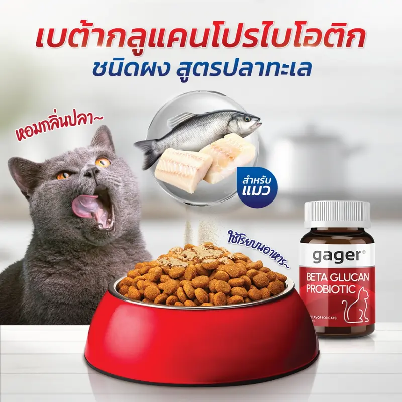 Gager วิตามินแมว ผงเบต้าแมว… - ภาพที่ 5