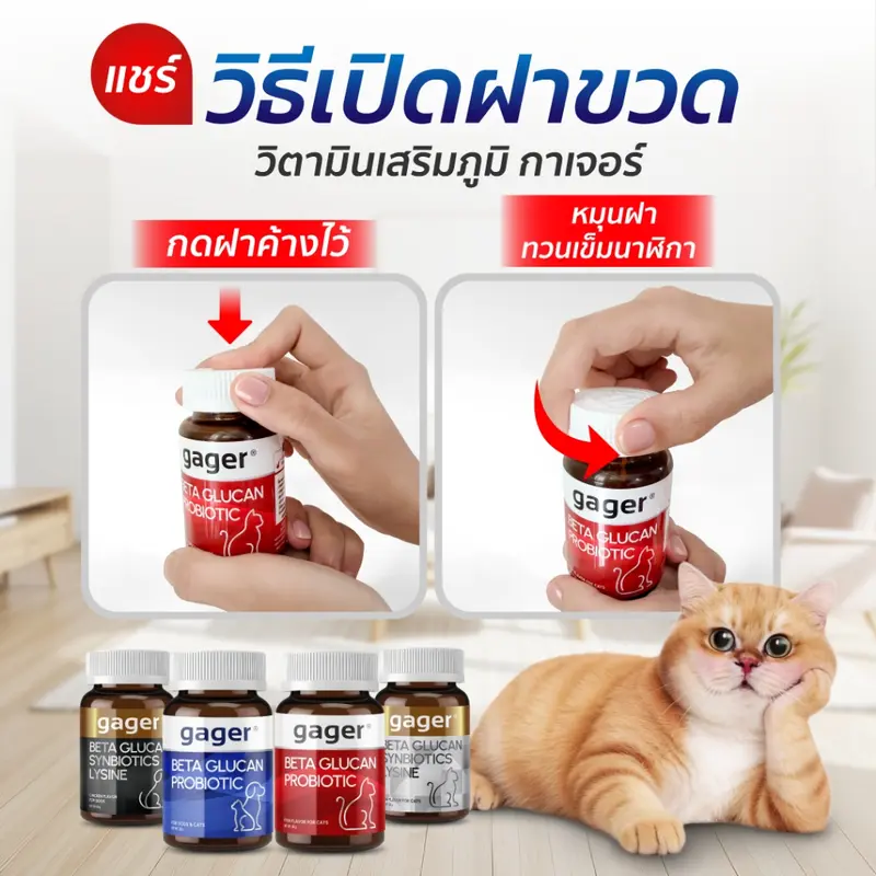 Gager วิตามินแมว ผงเบต้าแมว… - ภาพที่ 6