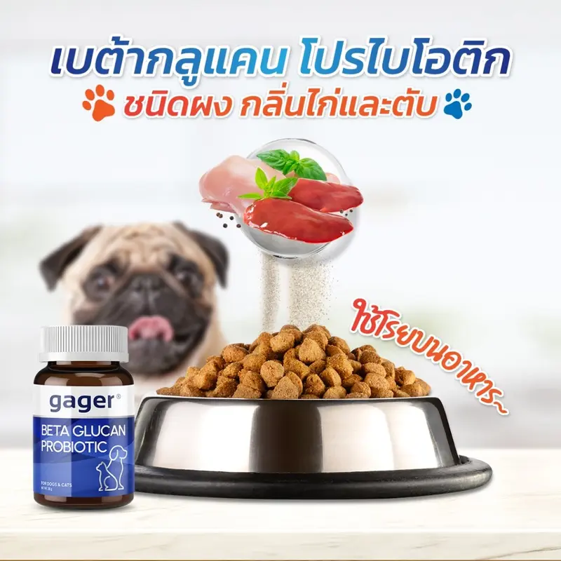 Gager กาเจอร์ ผงโรยข้าวเบต้ากลูแคนผสมโปรไบโอติก… - ภาพที่ 5