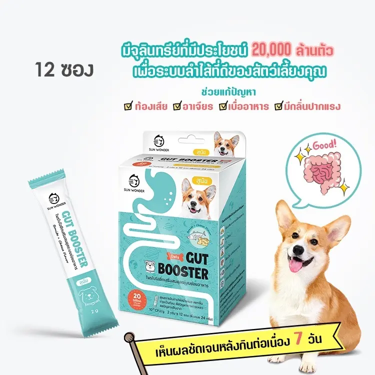 Gut Booster ผงอาหารเสริมโปรไบโอติก สูตรสำหรับหมา… - ภาพที่ 4
