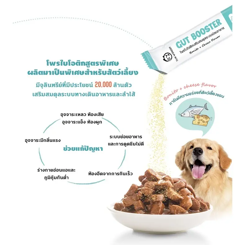 Gut Booster ผงอาหารเสริมโปรไบโอติก สูตรสำหรับหมา… - ภาพที่ 6