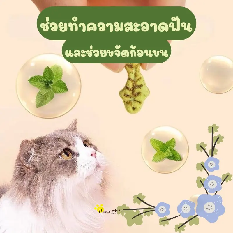 HM-บิสกิตเเมว ขนมเมว คุกกี้เเมวรสมิ้น กลิ่นใบมินต์ - ภาพที่ 6