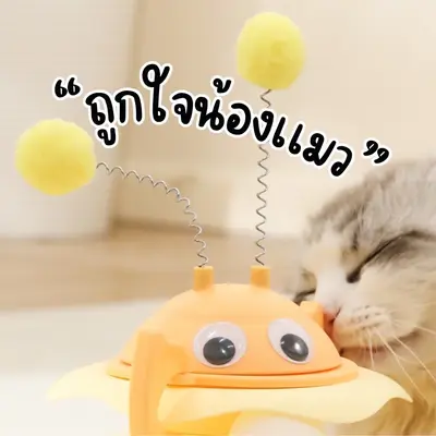HM-ของเล่นสัตว์เลี้ยง รางบอลแมว ผึ้ง ของเล่นแมว บอลแมว… - ภาพที่ 5