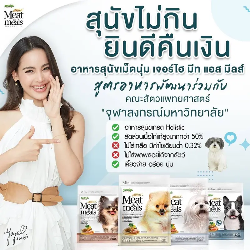 อาหารสุนัข เม็ดนิ่ม เจอร์ไฮ Jerhigh Meat as Meals 500g - ภาพที่ 4