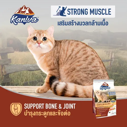 Kaniva อาหารแมว คานิว่า โซเดียมต่ำ ลูกแมว ไก่ แซลมอน… - ภาพที่ 5