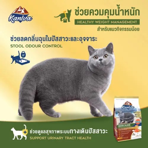 Kaniva อาหารแมว คานิว่า โซเดียมต่ำ ลูกแมว ไก่ แซลมอน… - ภาพที่ 6