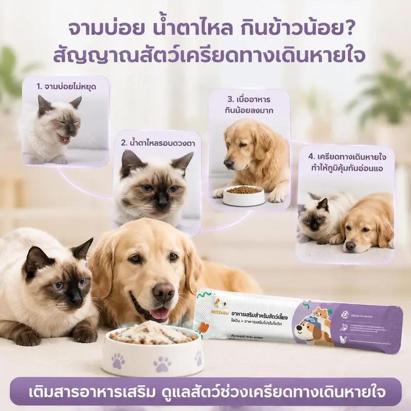 Ketzuzu 12/24 แพ็ค วิตามินแมว อาหารเสริมแมว… - ภาพที่ 6