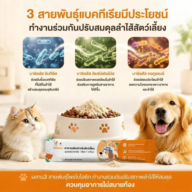 Ketzuzu 12/24 แพ็ค วิตามินสุนัข อาหารเสริมแมว… - ภาพที่ 5