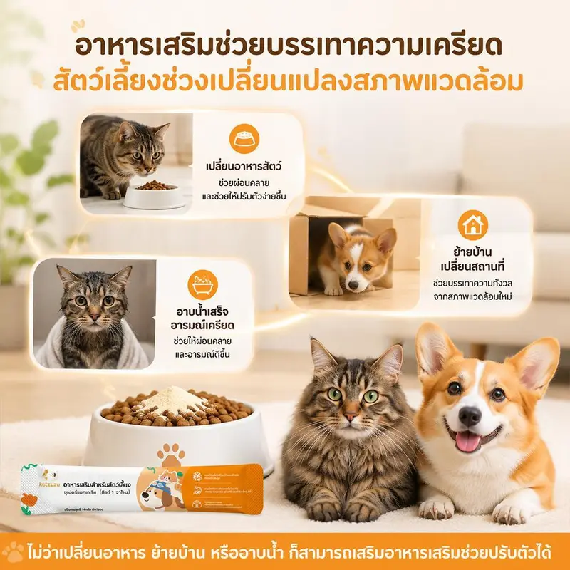 Ketzuzu 12/24 แพ็ค วิตามินแมว อาหารเสริมแมว… - ภาพที่ 6