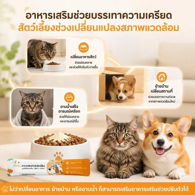 Ketzuzu 12/24 แพ็ค วิตามินสุนัข อาหารเสริมสุนัข… - ภาพที่ 6