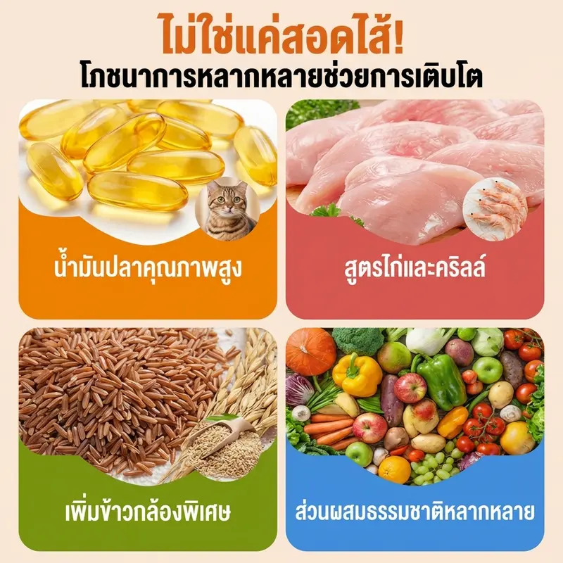 Korean Crunchies ขนมแมว พัฟกรอบนอก นุ่มใน… - ภาพที่ 4