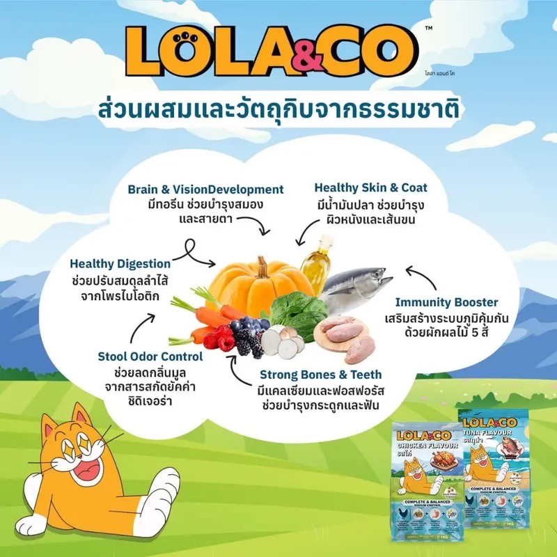Lola & Co อาหารแมวแบบเม็ด ขนาด 1 kg - ภาพที่ 5