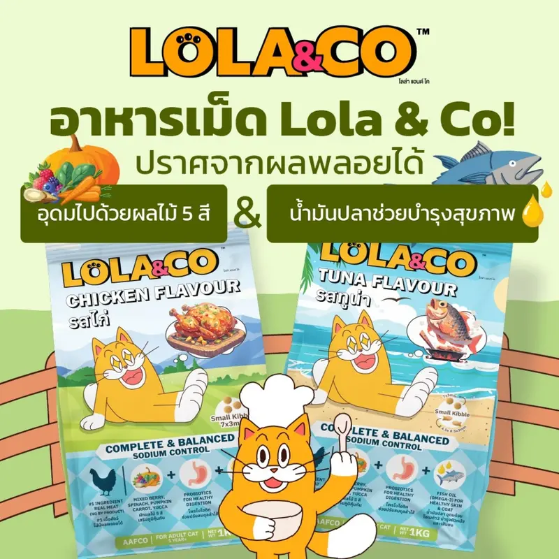 Lola & Co อาหารแมวแบบเม็ด ขนาด 1 kg Lola & Co อาหารแมวแบบเม็ด ขนาด 1 kg