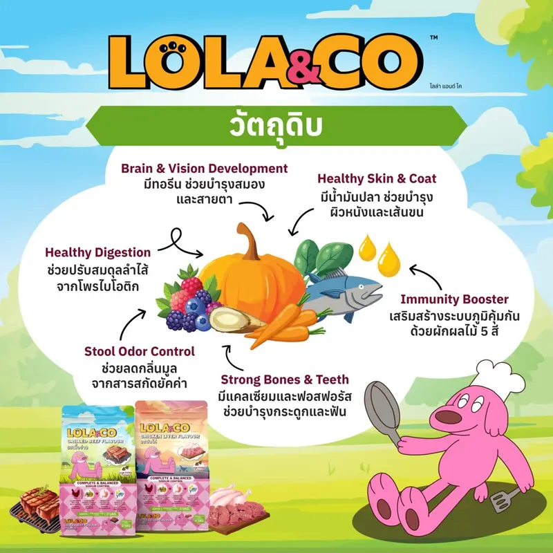 Lola & Co อาหารสุนัขแบบเม็ด ขนาด 1 kg - ภาพที่ 4
