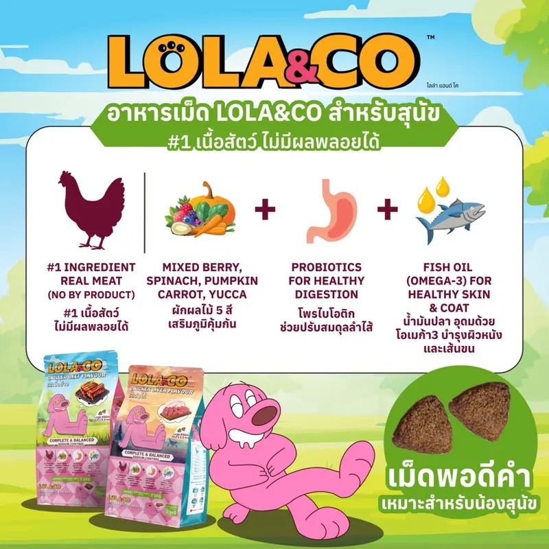 Lola & Co อาหารสุนัขแบบเม็ด ขนาด 7 kg - ภาพที่ 5