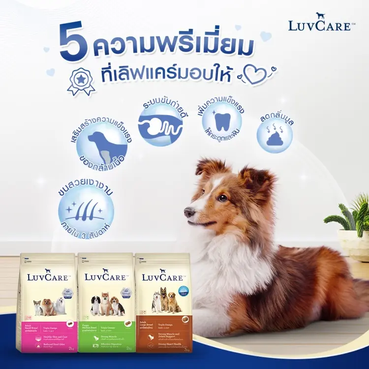 Luv Care เลิฟแคร์ อาหารสุนัข ลูกสุนัข สุนัขโต… - ภาพที่ 6