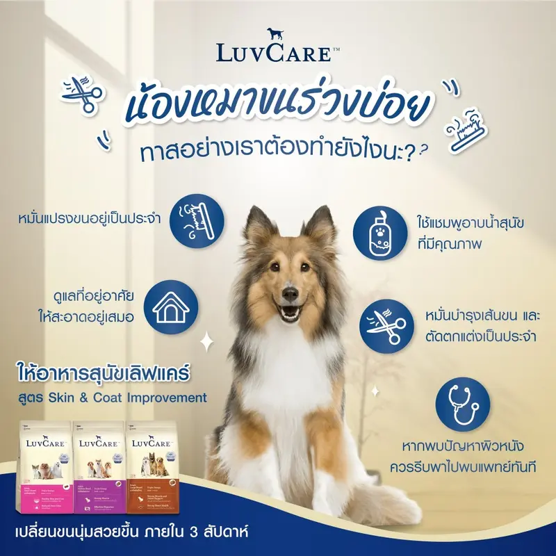 LuvCare Medium Adult&Puppy 9Kg. เลิฟแคร์… - ภาพที่ 4