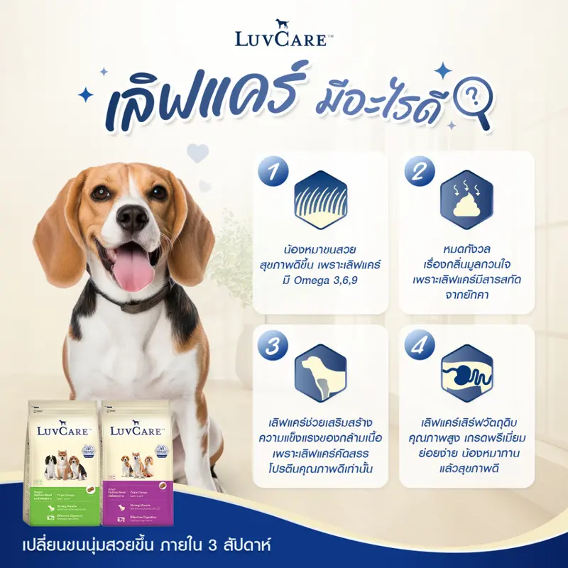 LuvCare Medium Adult&Puppy 9Kg. เลิฟแคร์… - ภาพที่ 5