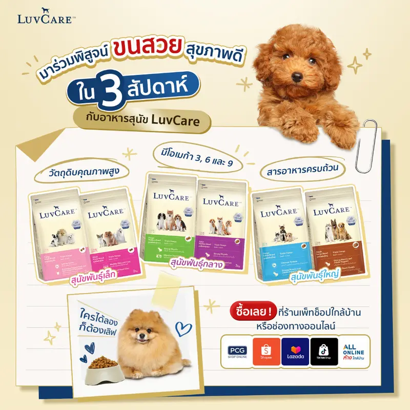 LuvCare Medium Adult&Puppy 9Kg. เลิฟแคร์… - ภาพที่ 6