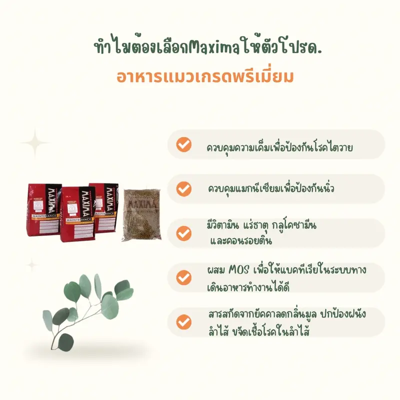 Maxima / Iconic อาหารแมว ควบคุมความเค็ม ป้องนิ่วและไต… - ภาพที่ 4