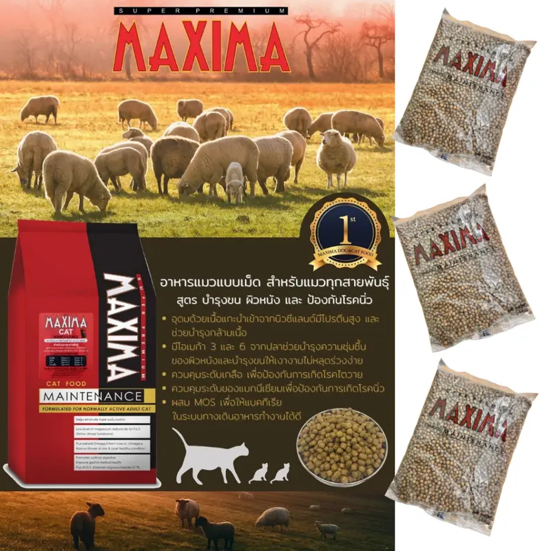 Maxima / Iconic อาหารแมว ควบคุมความเค็ม ป้องนิ่วและไต… - ภาพที่ 6