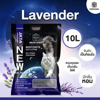 ทรายแมว… - ภาพที่ 4