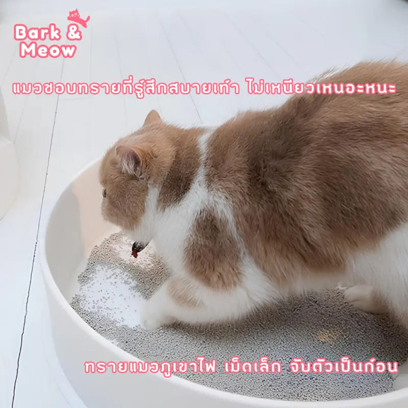 Miau Miau Premium Bentonite Cat Litter… - ภาพที่ 5