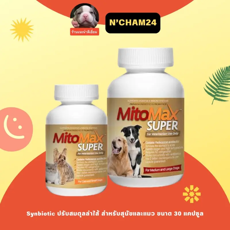 Mitomax บรรจุ 30 เม็ด ไมโตแมก… - ภาพที่ 3