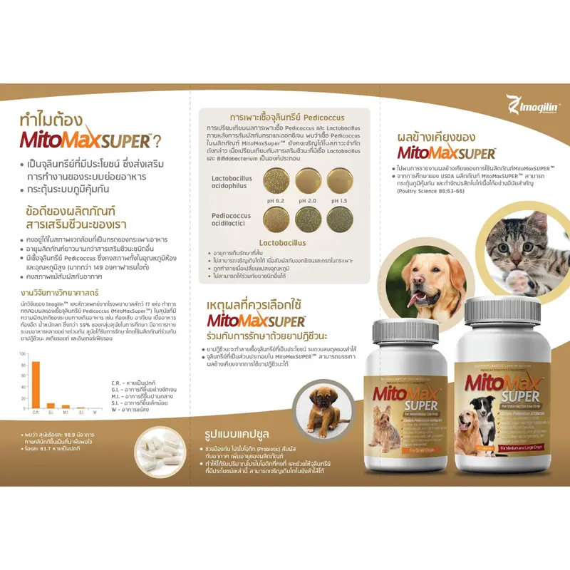 Mitomax Super Small Medium Exp.2028 Probiotic… - ภาพที่ 4