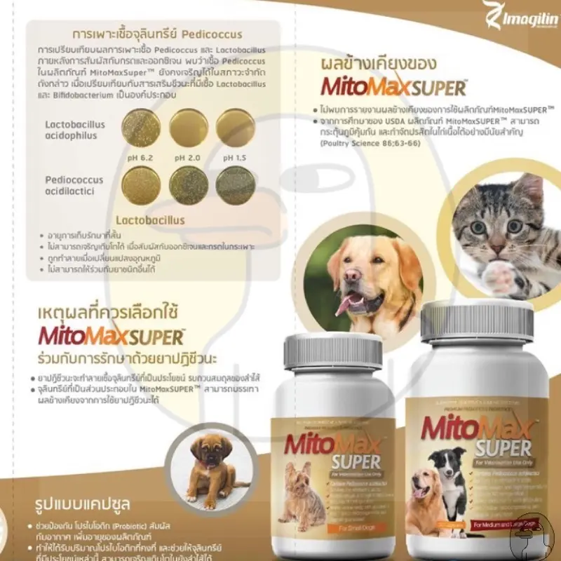 Mitomax Super Small Medium Exp.2028 Probiotic… - ภาพที่ 5