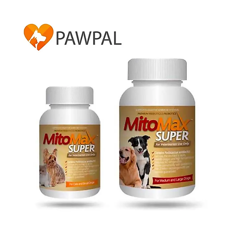 Mitomax Super Small Medium 🔥Exp.2028 Probiotic…