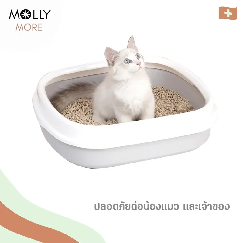MOLLY ทรายเต้าหู้ออร์แกนิค​ แบรนด์​ MOGU… - ภาพที่ 5