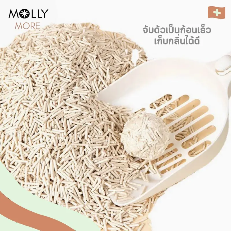 MOLLY ทรายเต้าหู้ออร์แกนิค​ แบรนด์​ MOGU… - ภาพที่ 6