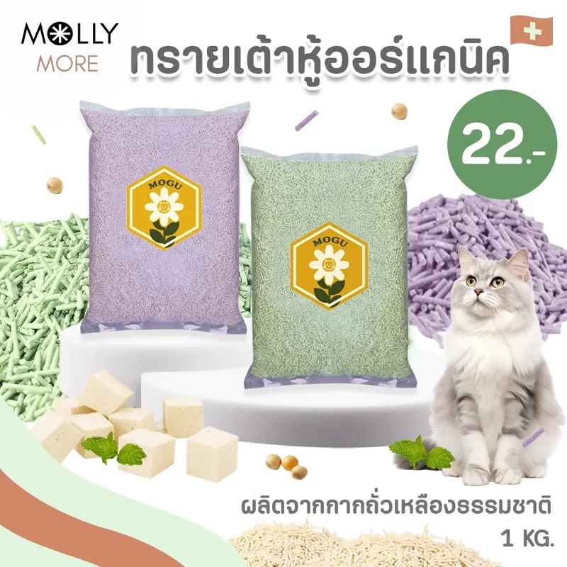 MOLLY ✨ ทรายเต้าหู้ออร์แกนิค​ แบรนด์​ MOGU…