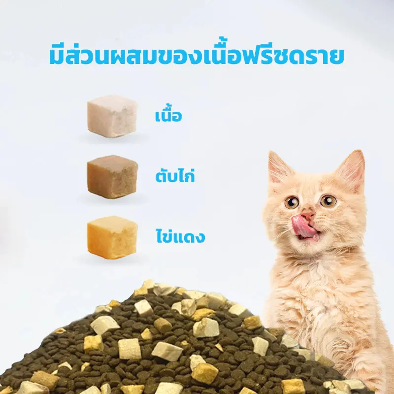 Mr.Vet อาหารเม็ดแมว Holistic มิสเตอร์เวท ขนาด 1 KG… - ภาพที่ 5