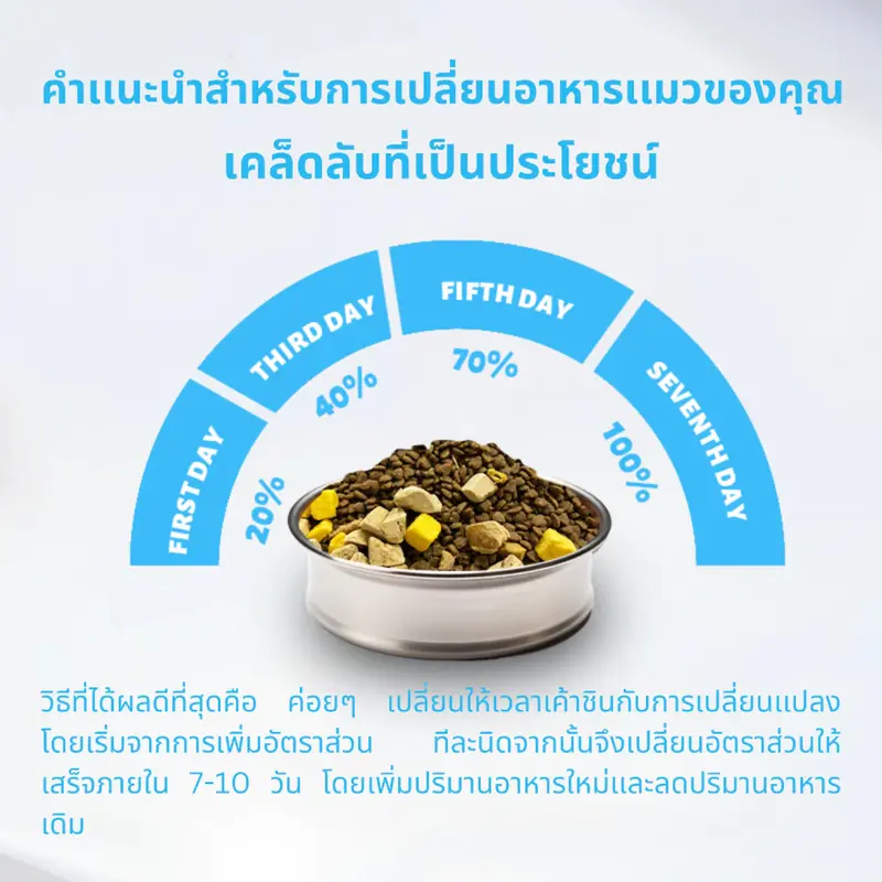 Mr.Vet อาหารเม็ดแมว Holistic มิสเตอร์เวท ขนาด 1 KG… - ภาพที่ 6